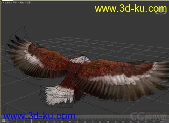 3D打印模型老鹰的图片