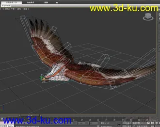 3D打印模型老鹰的图片