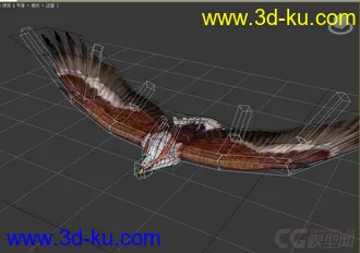 3D打印模型老鹰的图片