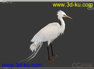 3D打印模型白鹭的图片