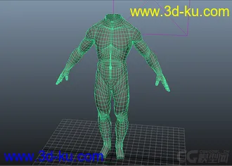 3D打印模型男人身体躯干的图片