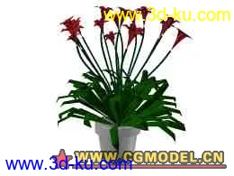 3D打印模型lowpoly flowers1的图片