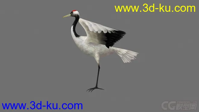 卡通鸟白鹤模型的图片1