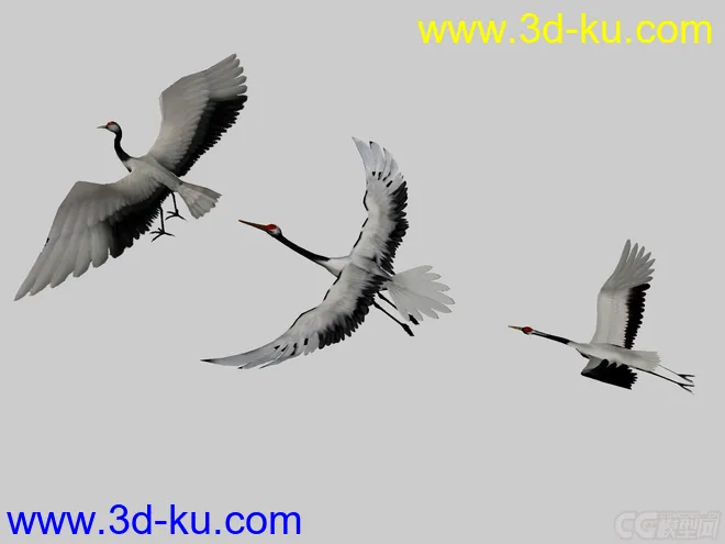 卡通鸟白鹤模型的图片2