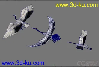 卡通鸟白鹤模型的图片