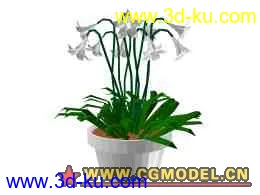 3D打印模型lowpoly flowers3的图片