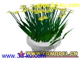 3D打印模型lowpoly flowers5的图片