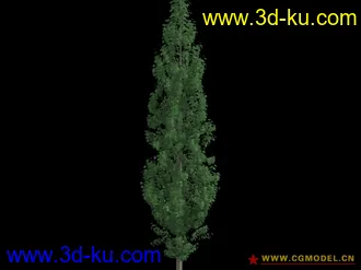 3D打印模型tree 114的图片