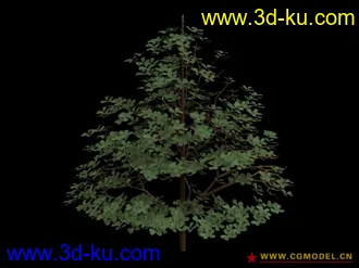 3D打印模型tree 145的图片