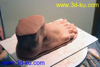 3D打印模型男人体的图片