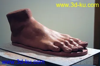 3D打印模型男人体的图片