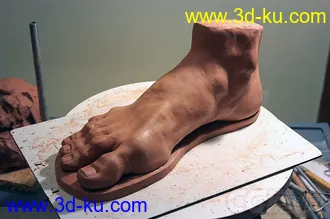 3D打印模型男人体的图片