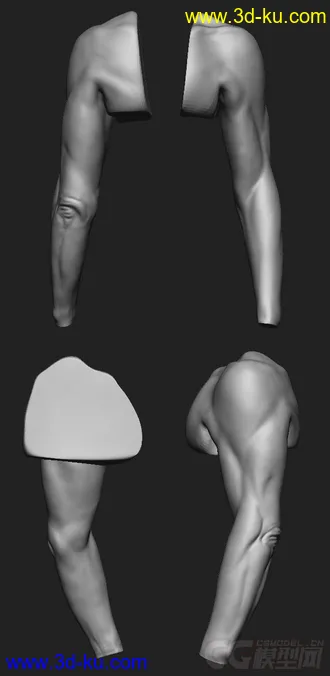 3D打印模型男人体的图片
