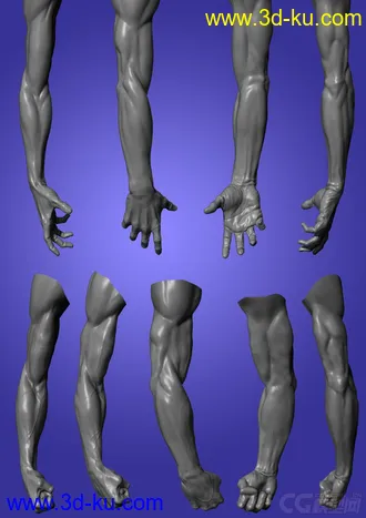 3D打印模型男人体的图片