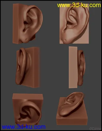 3D打印模型男人体的图片