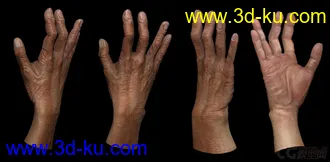 3D打印模型男人体的图片