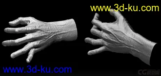 3D打印模型男人体的图片