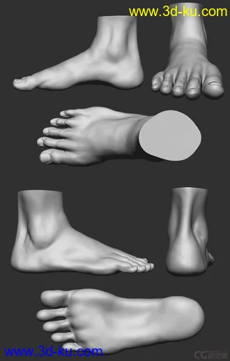 3D打印模型男人体的图片