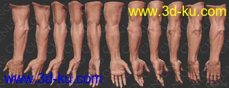 3D打印模型男人体的图片
