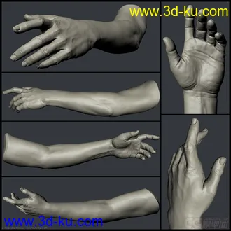 3D打印模型男人体的图片