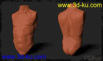 3D打印模型男人体的图片
