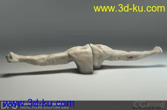 3D打印模型男人体的图片