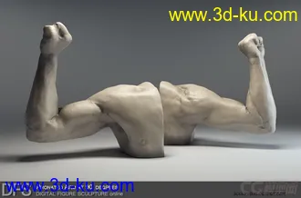 3D打印模型男人体的图片