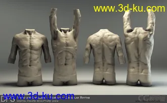 3D打印模型男人体的图片