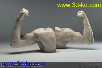 3D打印模型男人体的图片