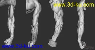 3D打印模型男人体的图片