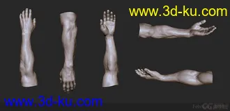 3D打印模型男人体的图片