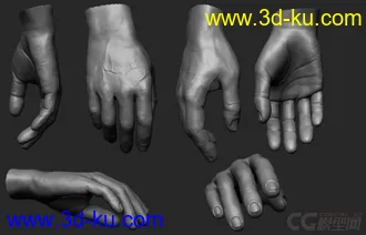 3D打印模型男人体的图片