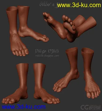 3D打印模型男人体的图片