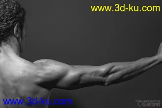 3D打印模型男人体的图片
