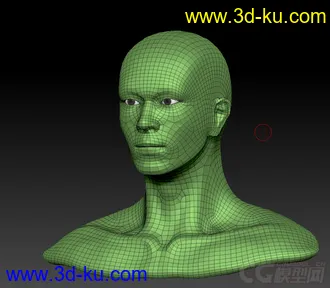 zbrush雕刻人头模型的图片