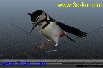 3D打印模型woodpecker---小鸟的图片