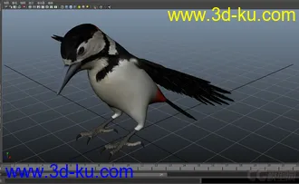 3D打印模型woodpecker---小鸟的图片