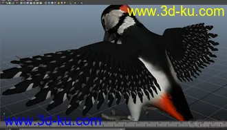 3D打印模型woodpecker---小鸟的图片