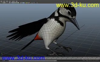 3D打印模型woodpecker---小鸟的图片