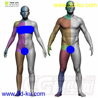 3D打印模型女人体的图片