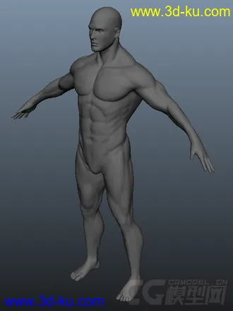3D打印模型男人体的图片