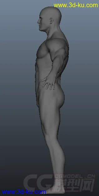 3D打印模型男人体的图片