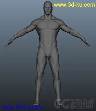 3D打印模型男人体的图片