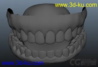 3D打印模型牙齿的图片