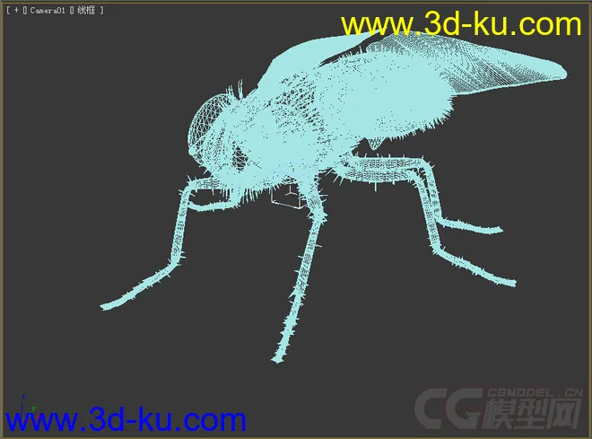 苍蝇模型的图片2