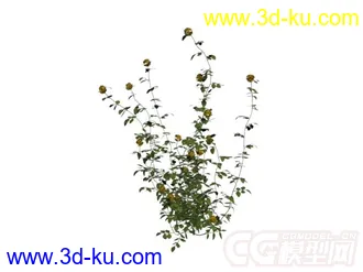 草模型2的图片