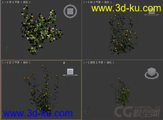 草模型2的图片