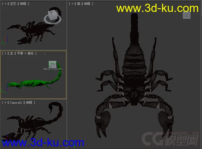 毒蝎子模型的图片2