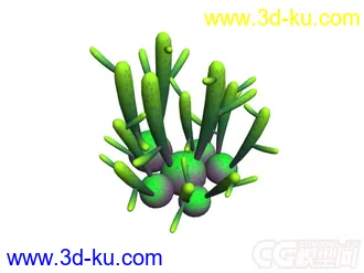 多肉-碧珊瑚模型的图片