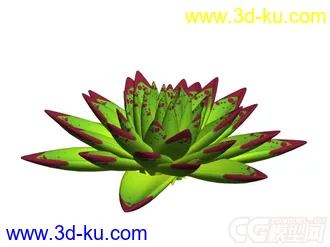多肉-冬云模型的图片